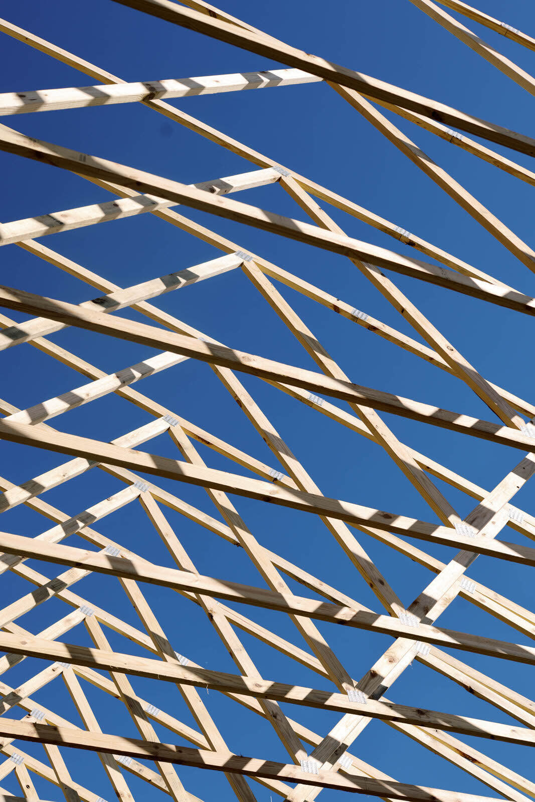 Engineered wood roof trusses set and braced against a clear sky